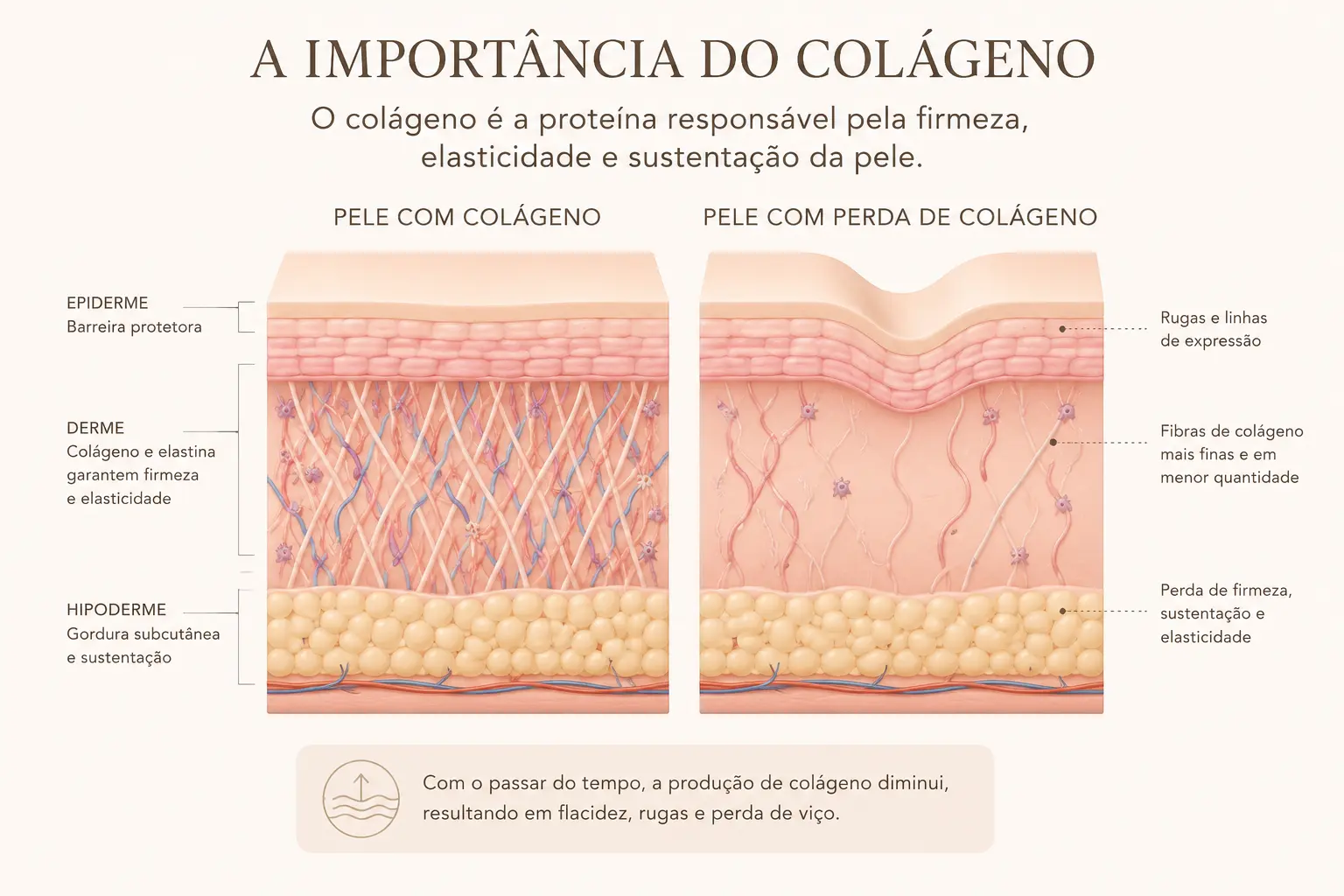 importância do colageno importância do colageno